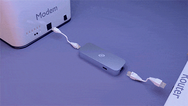 Virtual Wire Mode